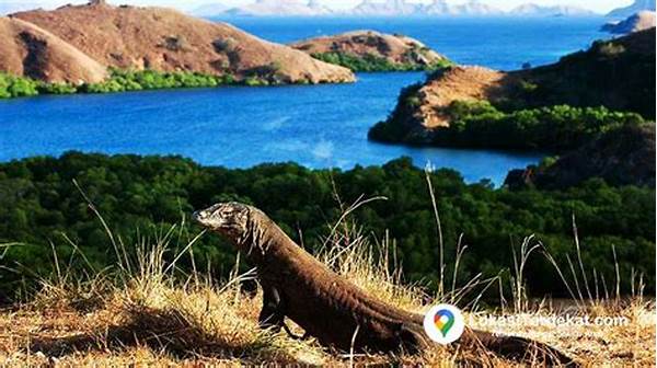Wisata Eksotis Pulau Komodo
