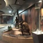 Wisata Sejarah Museum Tegal