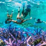 Aktivitas Snorkeling Gili Trawangan