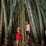 Jelajah Taman Bambu Lokal