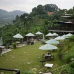 “kafe Dengan Pemandangan Alam Bogor”