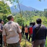 Kenikmatan Mendaki Di Hutan Ciwidey