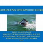 “konservasi Dan Perlindungan Ikan”
