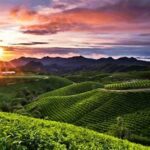 Panorama Pegunungan Sejuk Malino