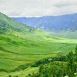 Pesona Savana Gunung Bromo