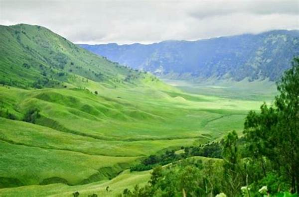 Pesona Savana Gunung Bromo