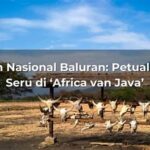 Petualangan Seru Di Taman Nasional