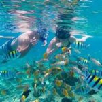 Rekomendasi Snorkeling Untuk Wisatawan Petualang