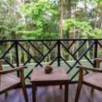 Resor Privat Di Tengah Hutan