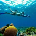 Snorkeling Terbaik Indonesia Raja Ampat