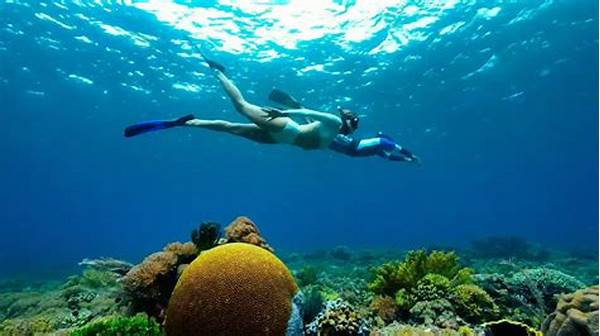 Snorkeling Terbaik Indonesia Raja Ampat