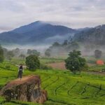 Tur Kebun Teh Rancabali Bandung