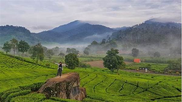 Tur Kebun Teh Rancabali Bandung