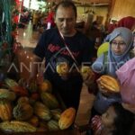 Wisata Edukasi Pengolahan Coklat