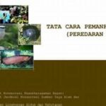 Keanekaragaman Tumbuhan Dan Satwa