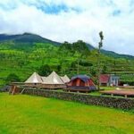 “kebun Teh Glamping Terbaru”
