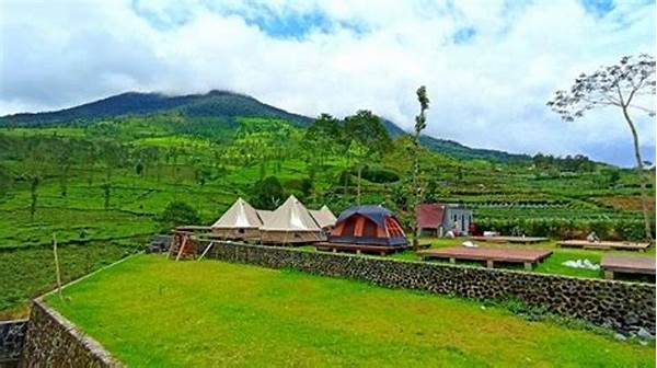 “kebun Teh Glamping Terbaru”
