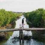 Menyusuri Sungai Di Kawasan Mangrove