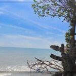 Pantai Berpasir Putih Di Sumatera Utara
